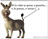 /album/fotogaleria/a13-si-la-vida-te-pone-jpg/